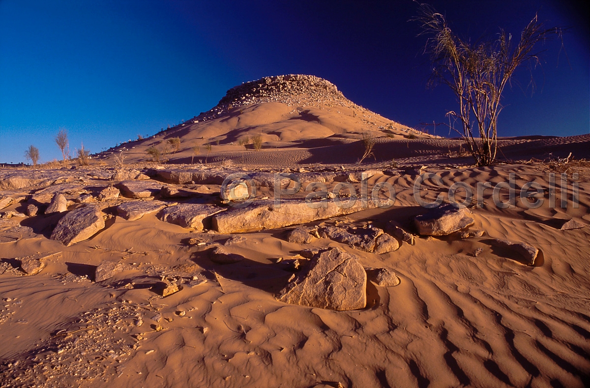 Grand Erg Oriental desert, Tembaine, Tunisia
 (cod:Tunisia 19)